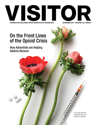 November 2017 Visitor cover