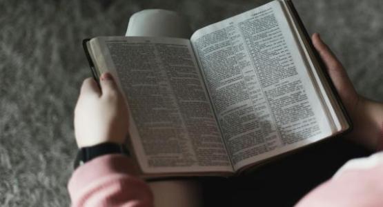 Alexandra Fuller/Unsplash