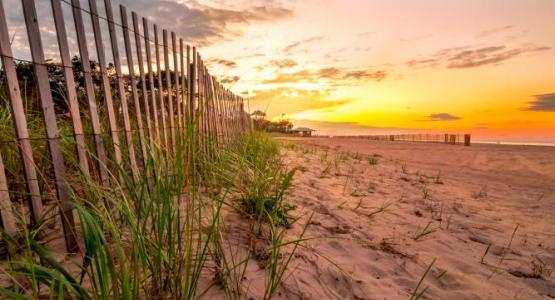 Image from iStock Image from iStock