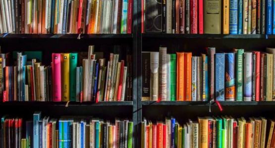 image of books by Luboshouska on Pixabay image of books by Luboshouska on Pixabay
