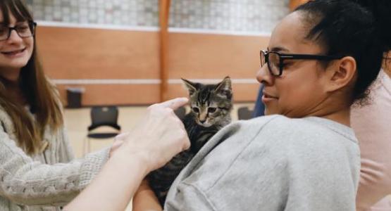 Kettering College students participated in two animal stress relief events. Students had the opportunity to pet miniature horses, kittens, and a dog. 