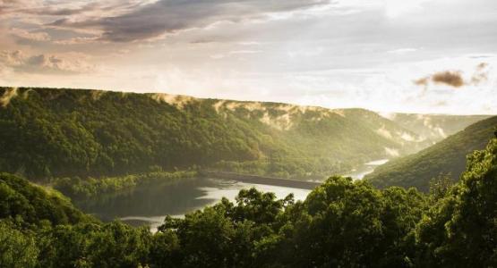 Image by Michael Adams from Pixabay