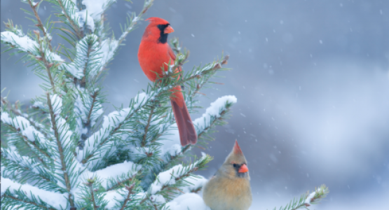 image from iStock image from iStock