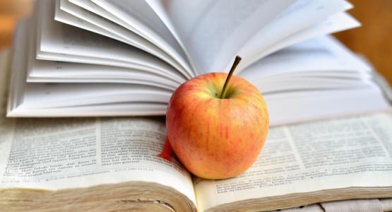 Image by congerdesign from Pixabay The Miracle of Blessings, editorial, Tranquility Adventist School, New Jersey Conference, Elaine Lopez