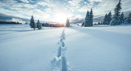 Image from iStock Image from iStock