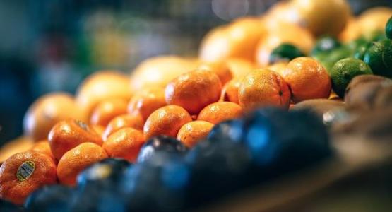 Image by Igor Ovsyannykov from Pixabay