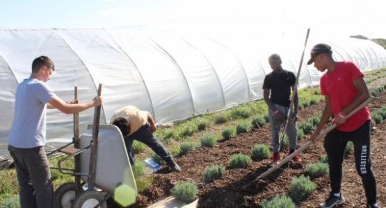 Blue Mountain Academy runs an organic farm Blue Mountain Academy runs an organic farm