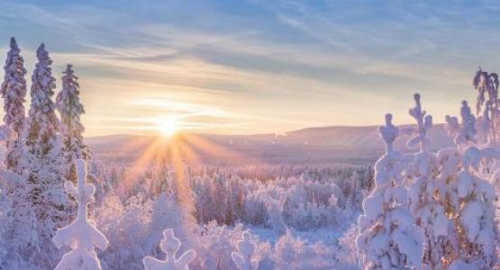 Image from iStock Image from iStock