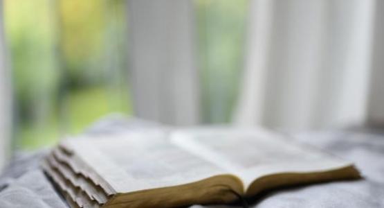 Jasmin Ne/Unsplash Jasmin Ne/Unsplash