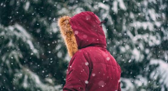 Photo by Joshua Hanson on Unsplash Photo by Joshua Hanson on Unsplash