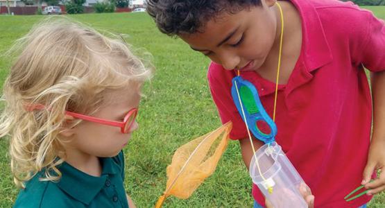 Manassas students work together to catch and study bugs.