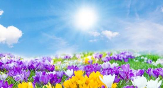 Image from iStock Image from iStock