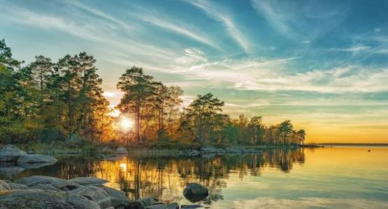 Image from iStock Image from iStock