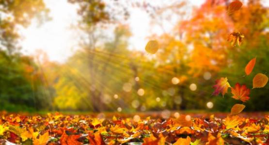 Image from iStock Image from iStock