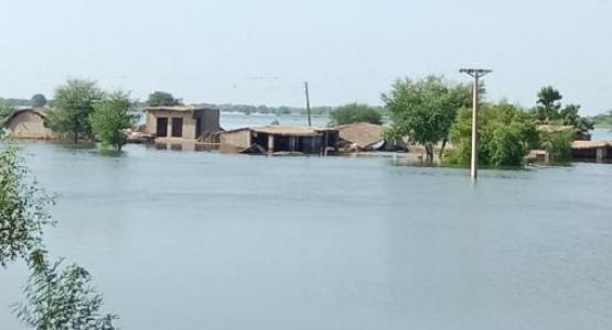 Flash floods have washed away highways, flooded houses, and destroyed crops in Pakistan. Photo by ADRA/Pakistan.