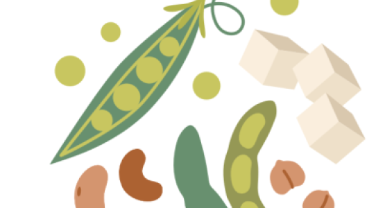 Plant protein from Getty Images 2207843784