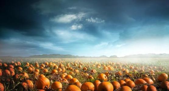 image from iStock image from iStock