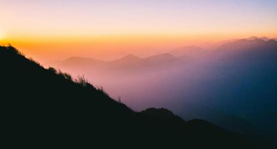 Image by Phạm Quốc Nguyên from Pixabay Image by Phạm Quốc Nguyên from Pixabay