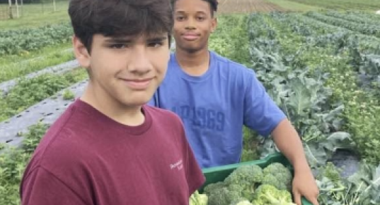 Class of 2030 Freshmen Michael Hernandez-Morales and Yahru Clarke pick broccoli at Immanuel’s Ground: The SVA Farm.