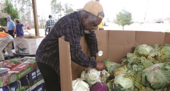 A volunteer picks out fresh produce for community members living in the Yale church area.