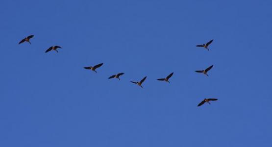 Photo by Martin Cathrae from Flickr Photo by Martin Cathrae from Flickr