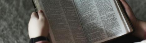 Alexandra Fuller/Unsplash