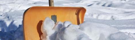 Image by congerdesign from Pixabay