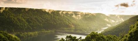 Image by Michael Adams from Pixabay