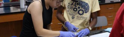 Senior Aisha Hernandez and junior Keza Niyonsenga remove key organs from a local fish specimen as part of the citizen science service program.