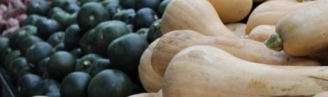 Image by Daniel Albany from Pixabay