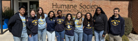 Highland Adventist Academy seniors volunteer at the Humane Society during Service Day. Highland Adventist Academy seniors volunteer at the Humane Society during Service Day.