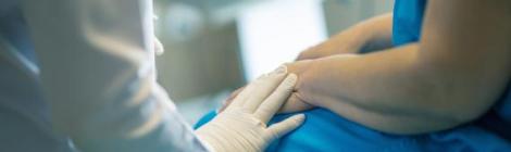 Image by fernando zhiminaicela from Pixabay