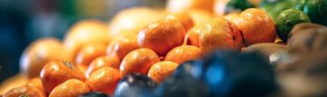 Image by Igor Ovsyannykov from Pixabay