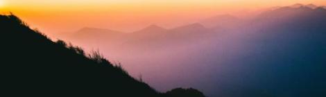 Image by Phạm Quốc Nguyên from Pixabay