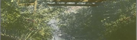 Historic photo of Sligo Creek in Takoma Park from NAD Archives, Records and statistics