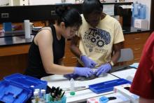 Senior Aisha Hernandez and junior Keza Niyonsenga remove key organs from a local fish specimen as part of the citizen science service program.
