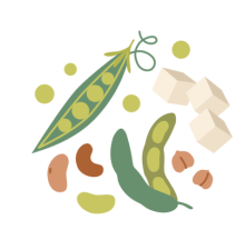 Plant protein from Getty Images 2207843784
