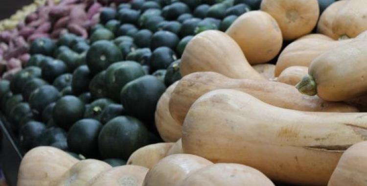 Image by Daniel Albany from Pixabay